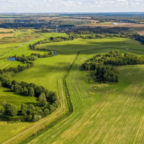 vue aérienne de champs