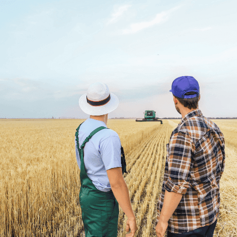 agriculteurs dans leur champ