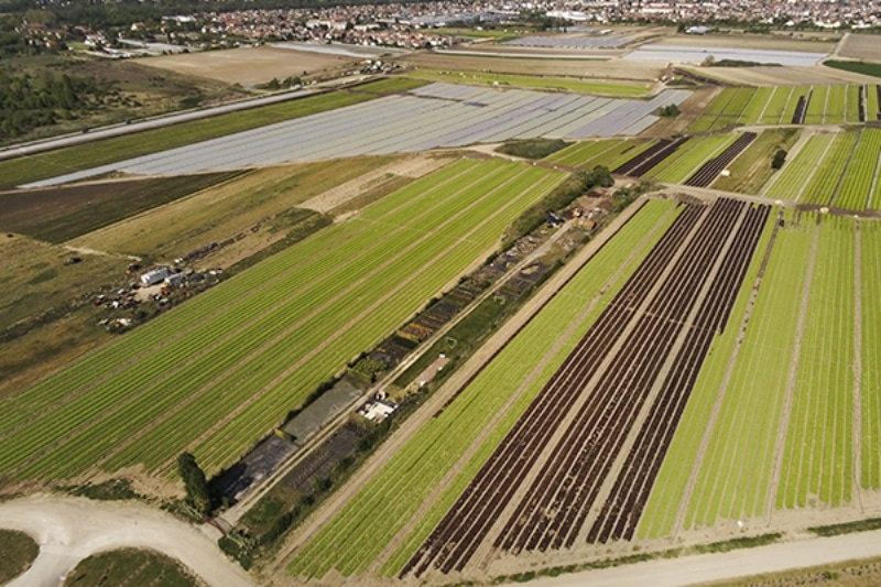 Vue aérienne de champs