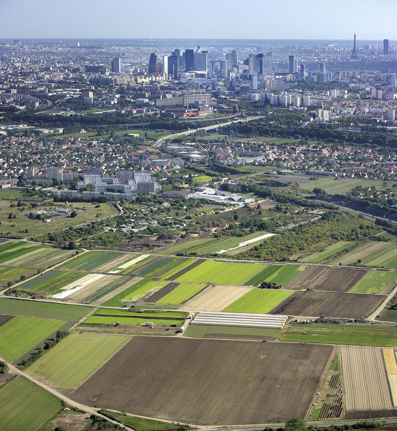 vue aérienne de champs agricoles