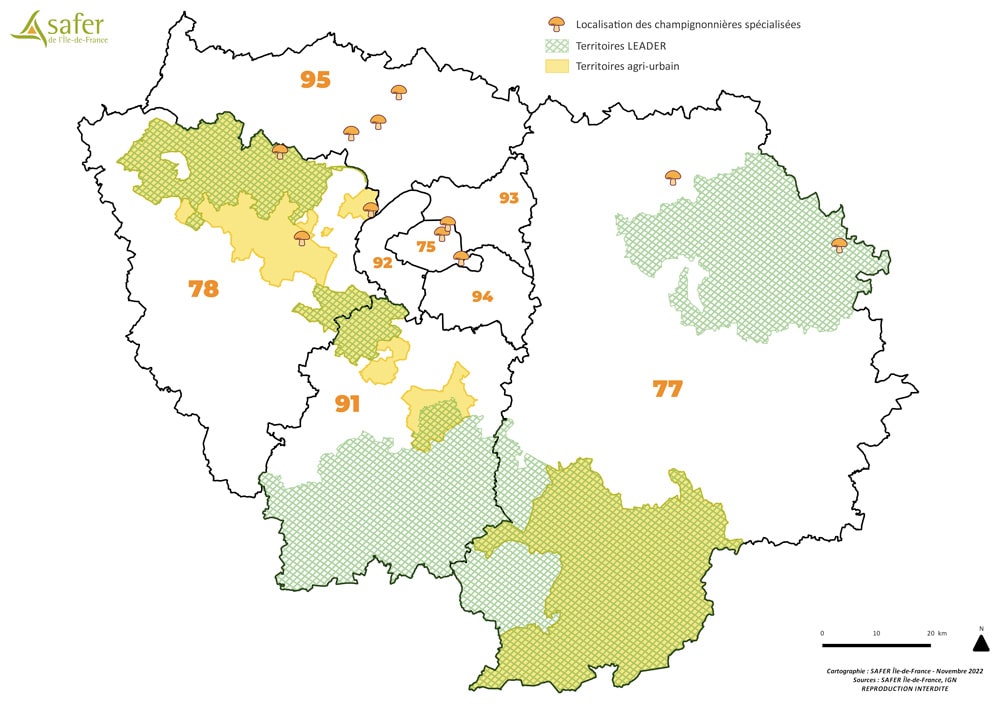 carte producteurs champi