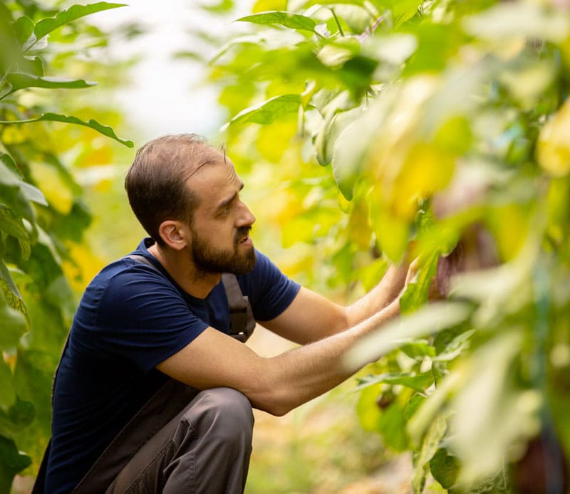 Agriculteur