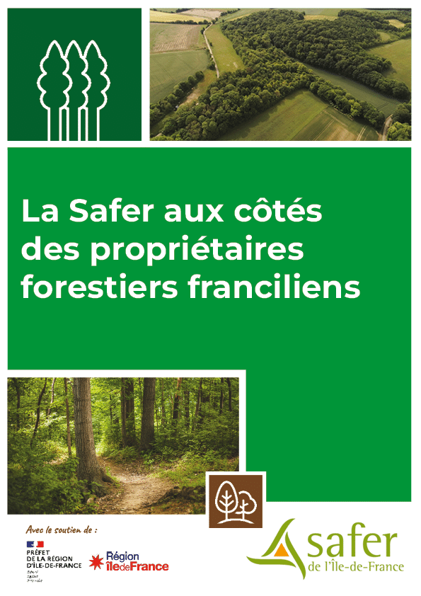 Bois et forêt