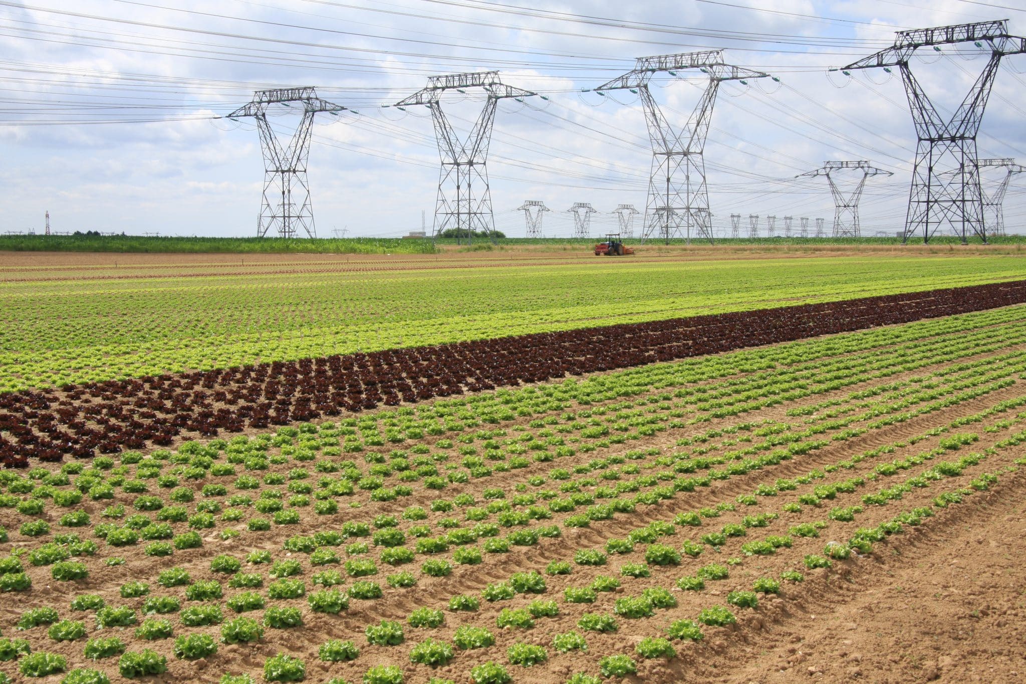 1 91 villejust 23 2016 champ de salades magnétique